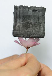graphene-on-flower